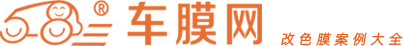 苏记车膜网