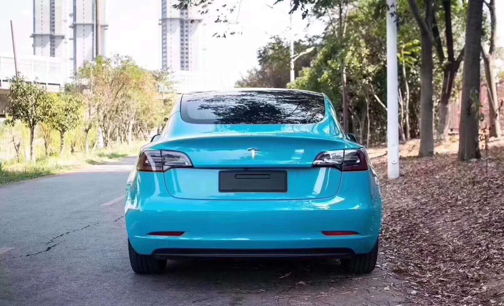 特斯拉贴迈阿密蓝