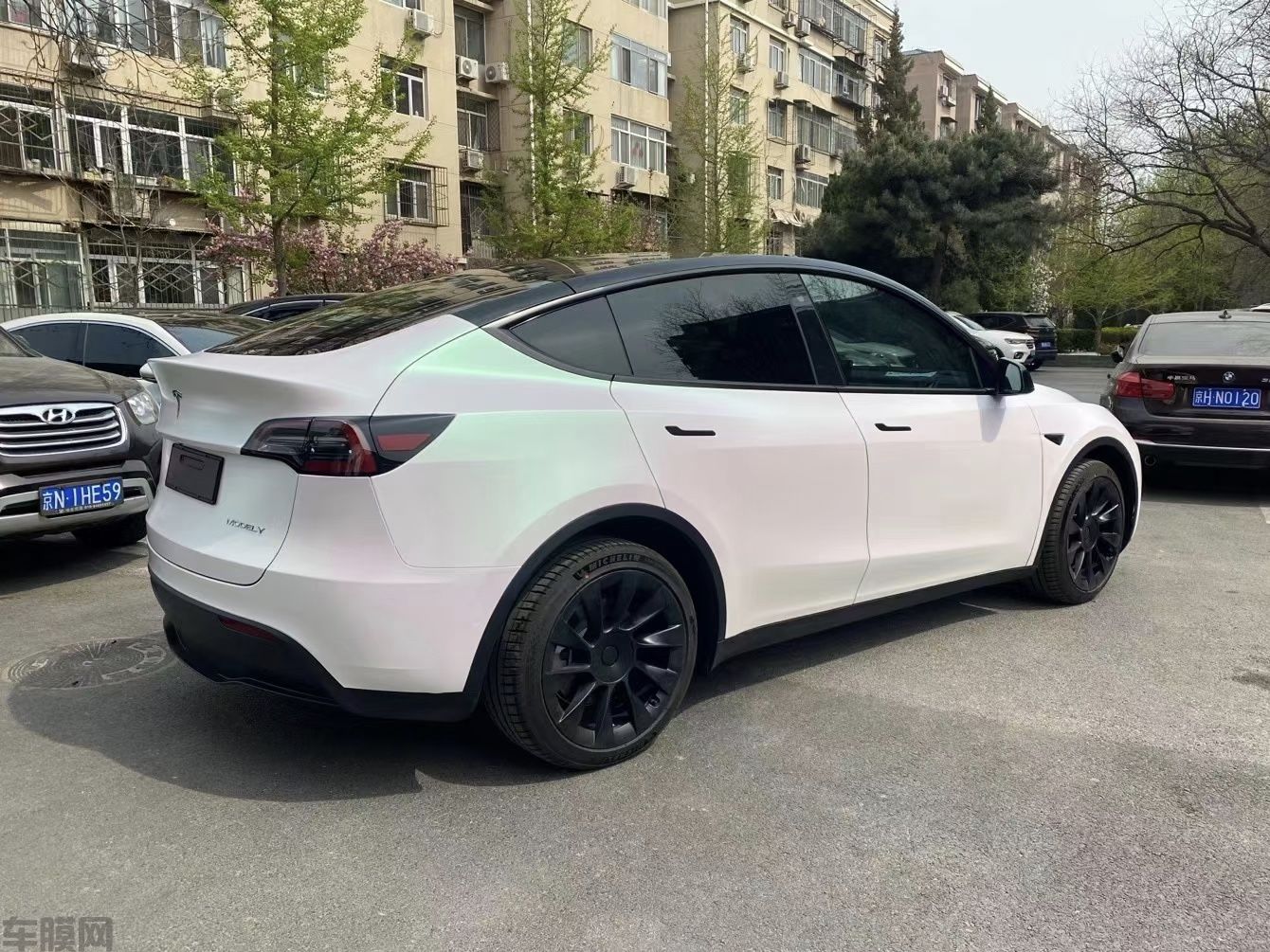 特斯拉ModelY 曙光白改色膜 效果图