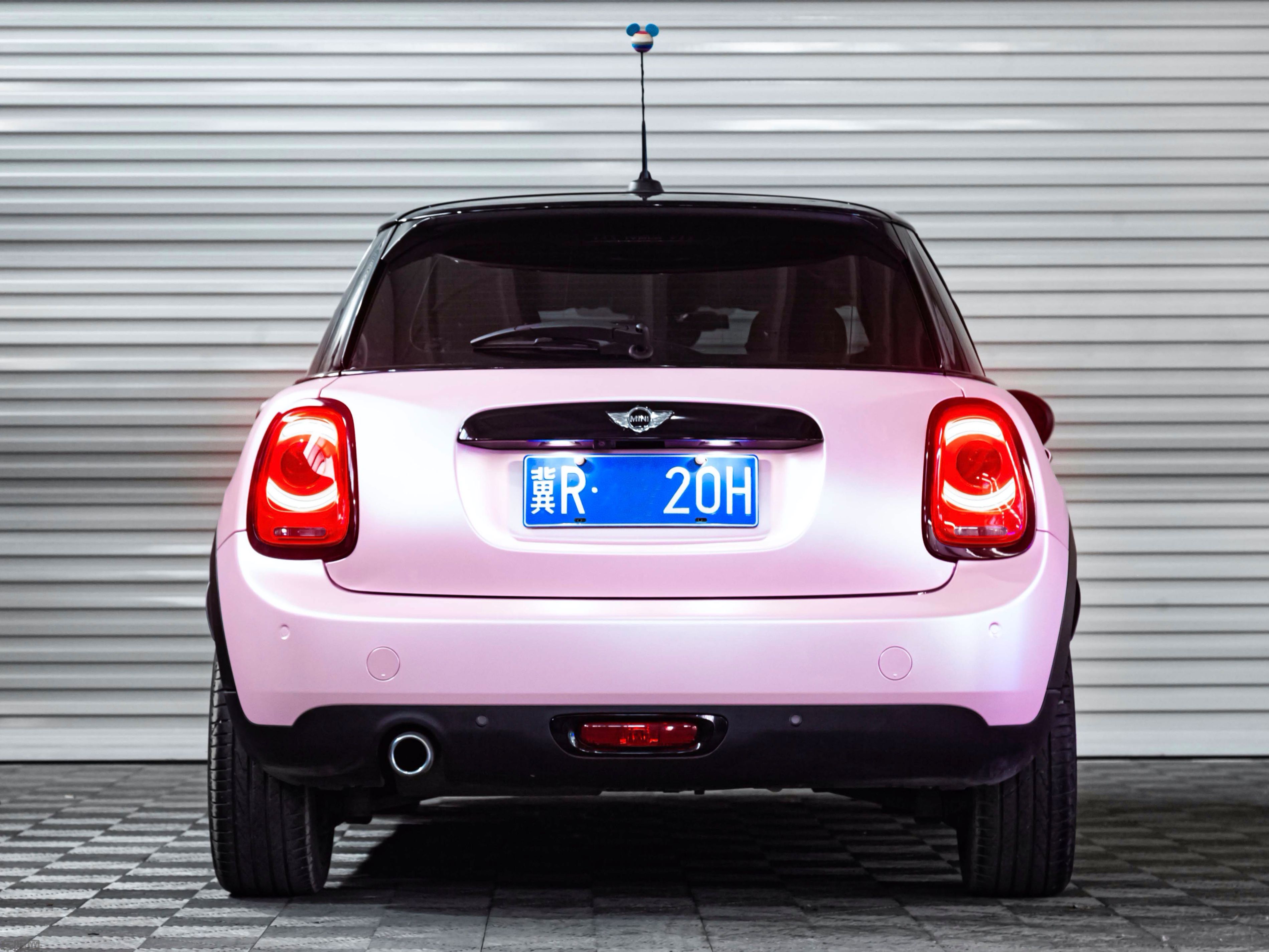 Mini 哑光金属粉改色膜 效果图