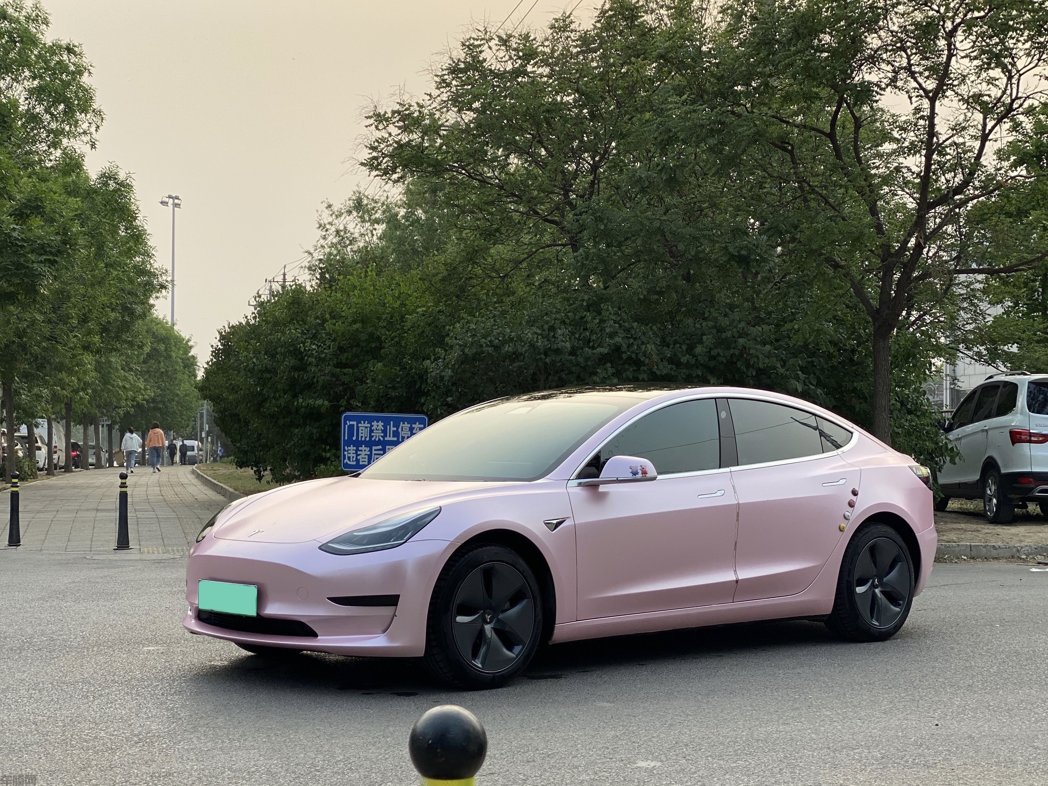 特斯拉model 3 樱花粉改色膜 效果图