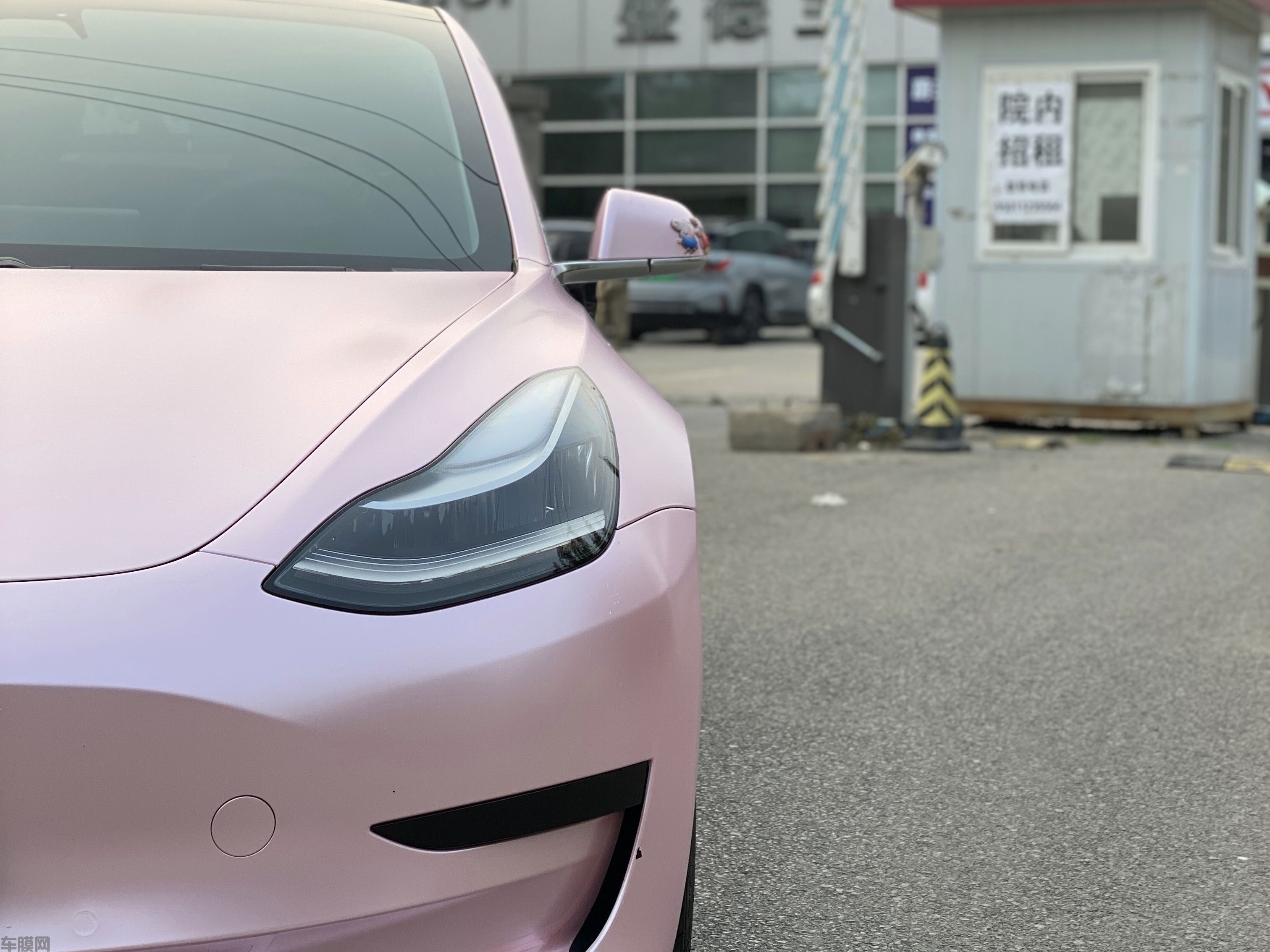 特斯拉model 3 樱花粉改色膜 效果图