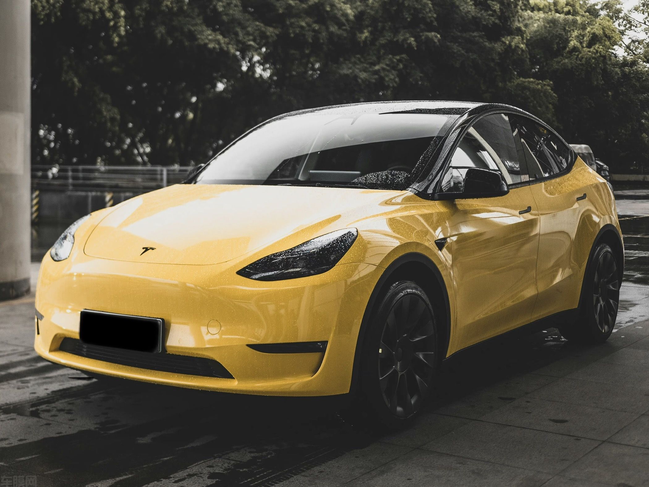 特斯拉ModelY 高光葵花黄改色膜 效果图
