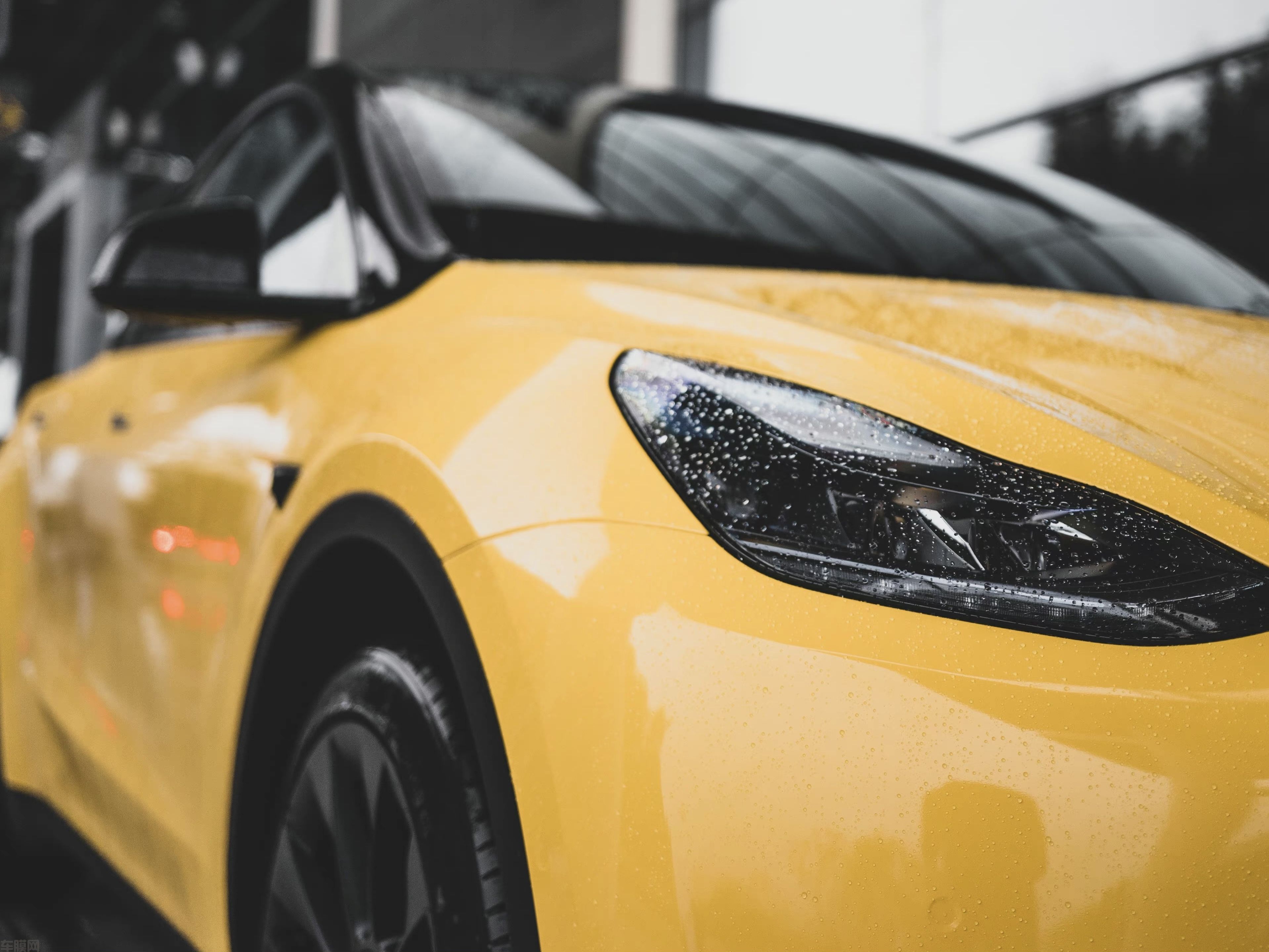 特斯拉ModelY 高光葵花黄改色膜 效果图