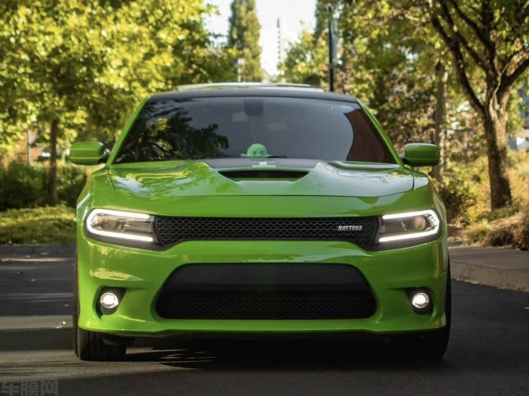 道奇Charger SRT 钢琴蝰蛇绿改色膜 效果图