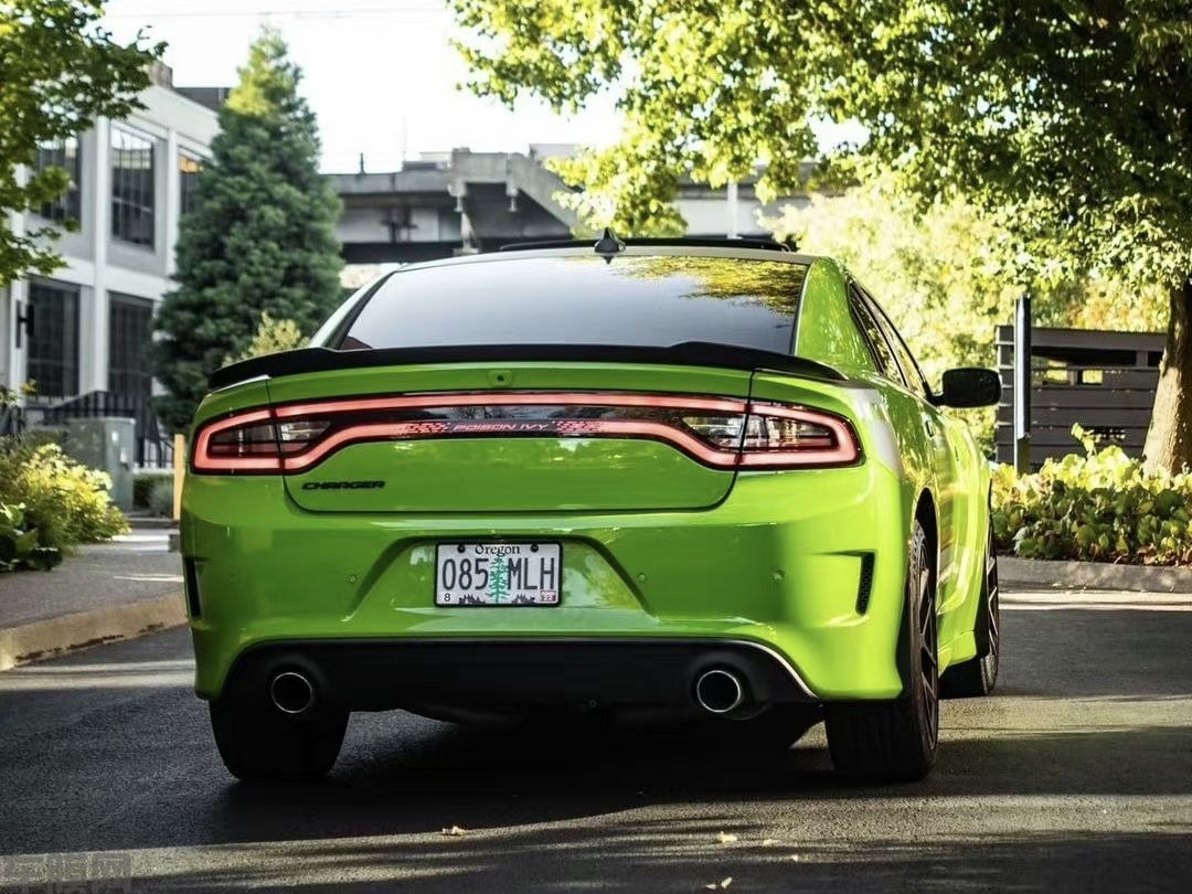道奇Charger SRT 钢琴蝰蛇绿改色膜 效果图