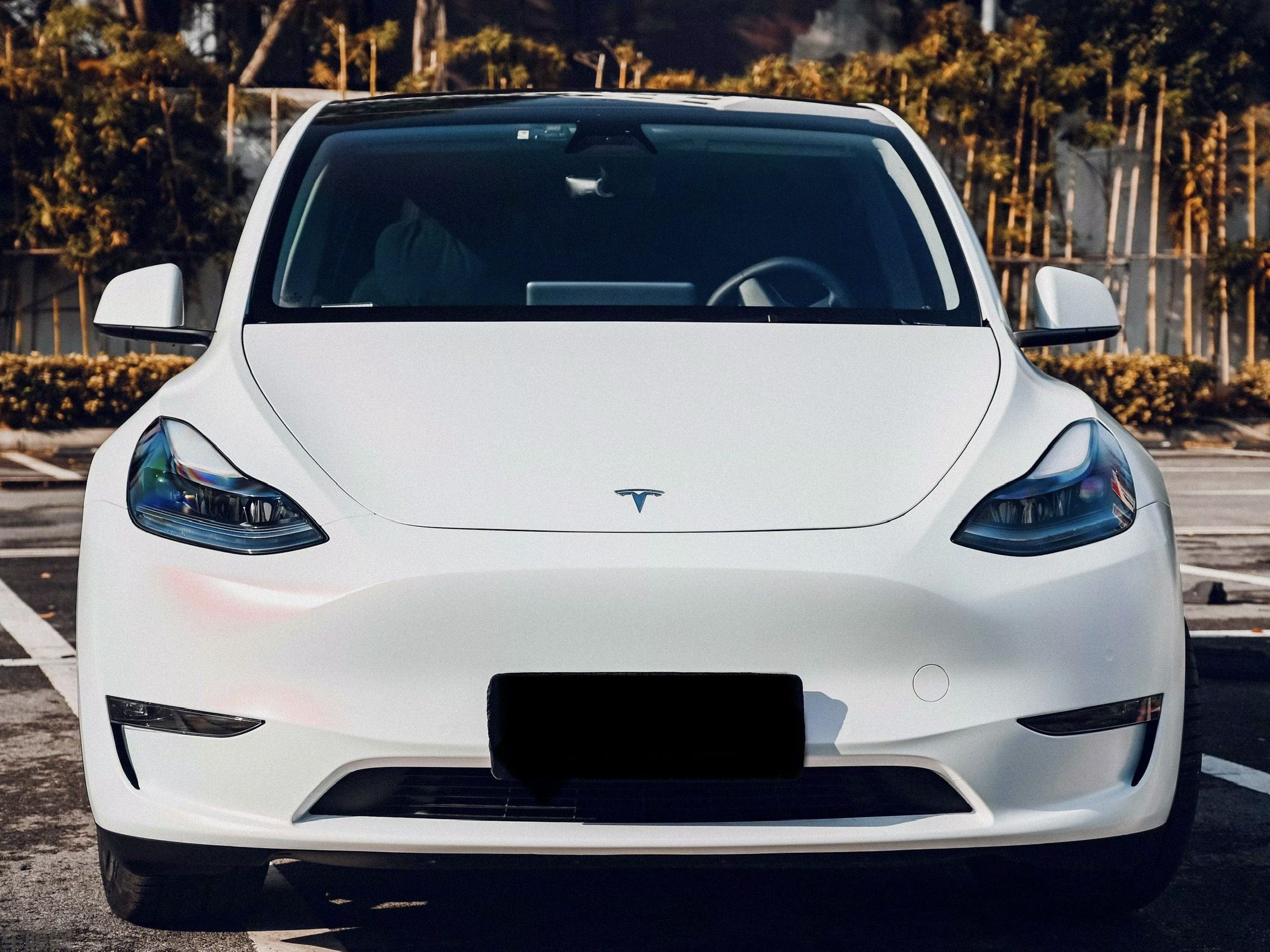 特斯拉ModelY 电光白变紫改色膜 效果图
