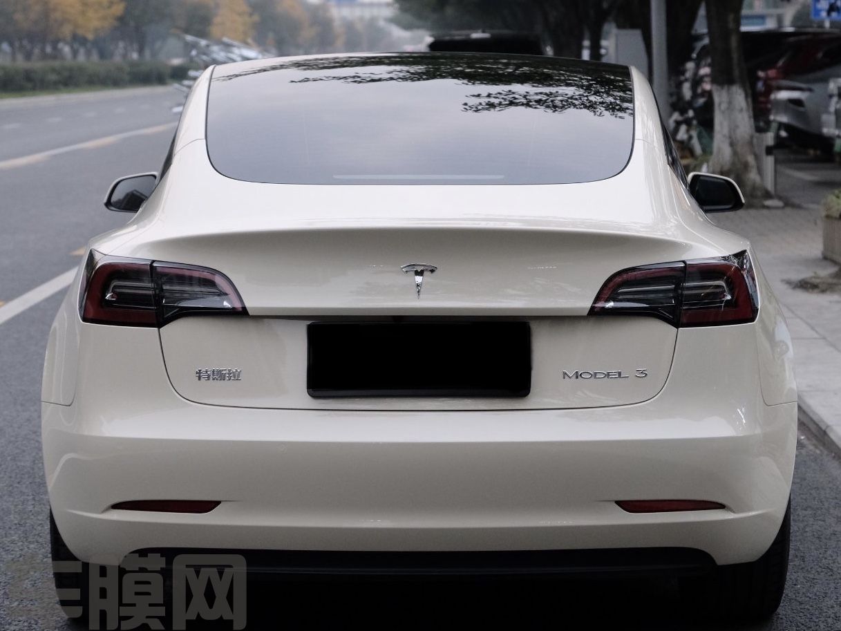 特斯拉Model3 卡其米兰改色膜 效果图