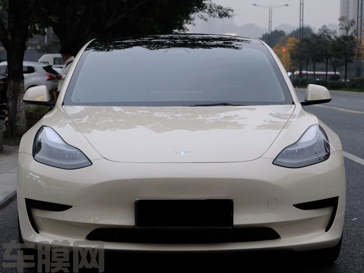 特斯拉Model3 卡其米兰改色膜 效果图