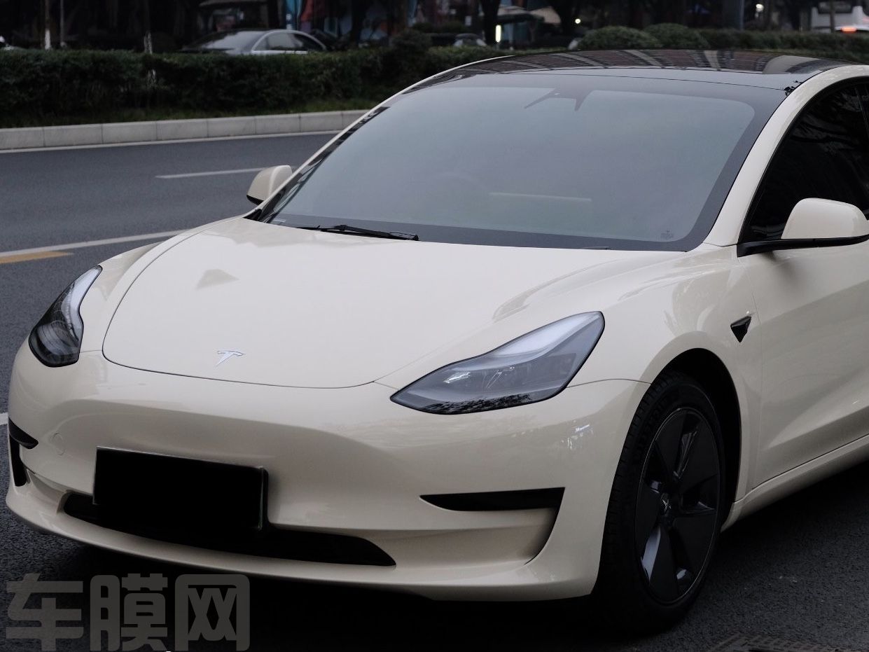 特斯拉Model3 卡其米兰改色膜 效果图