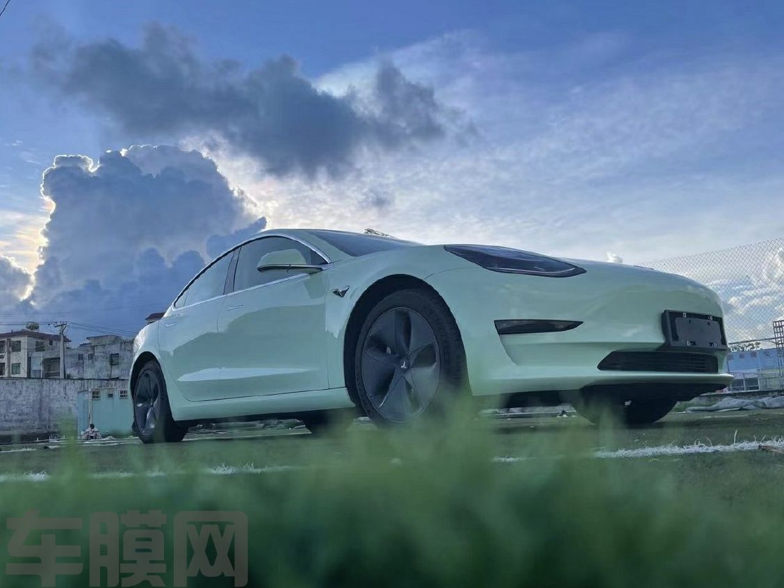 特斯拉 牛油果绿改色膜 效果图
