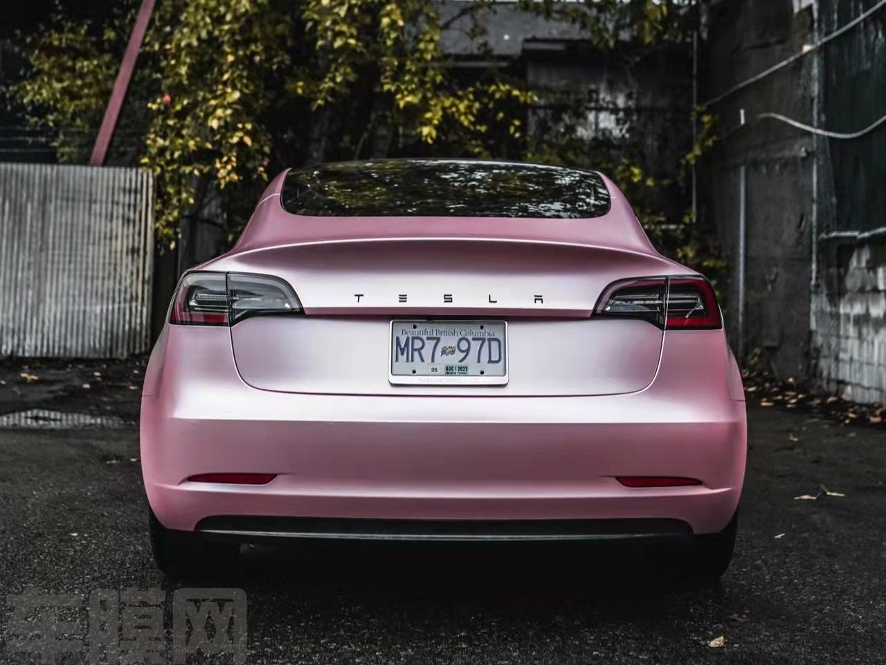 特斯拉Model 3 电光金属樱花粉改色膜 效果图