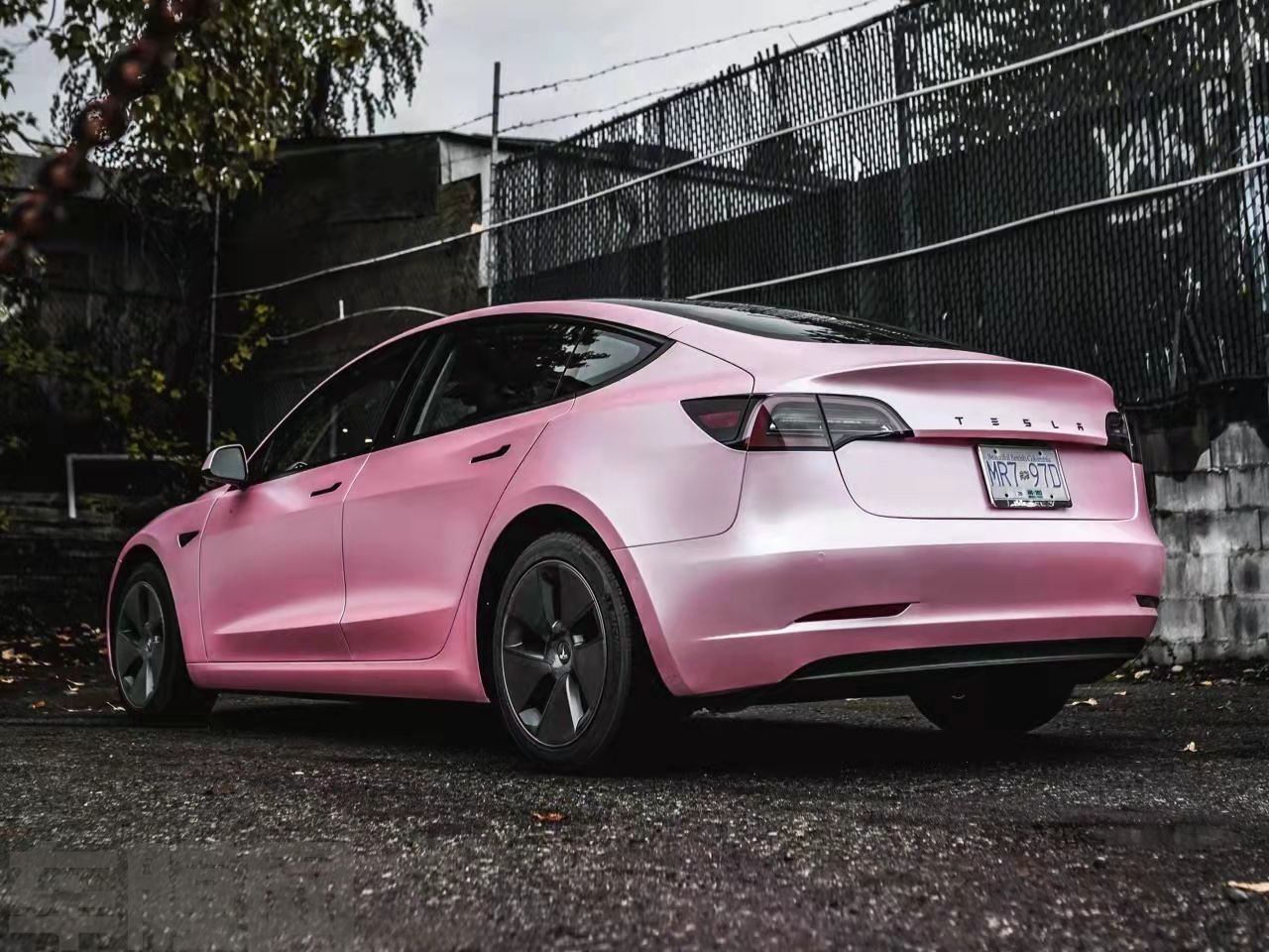 特斯拉Model 3 电光金属樱花粉改色膜 效果图