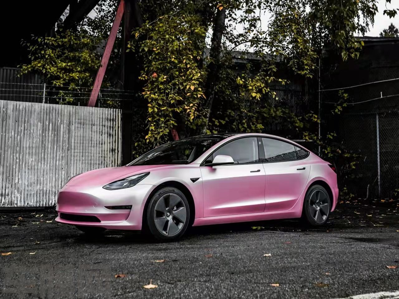 特斯拉Model 3 电光金属樱花粉改色膜 效果图