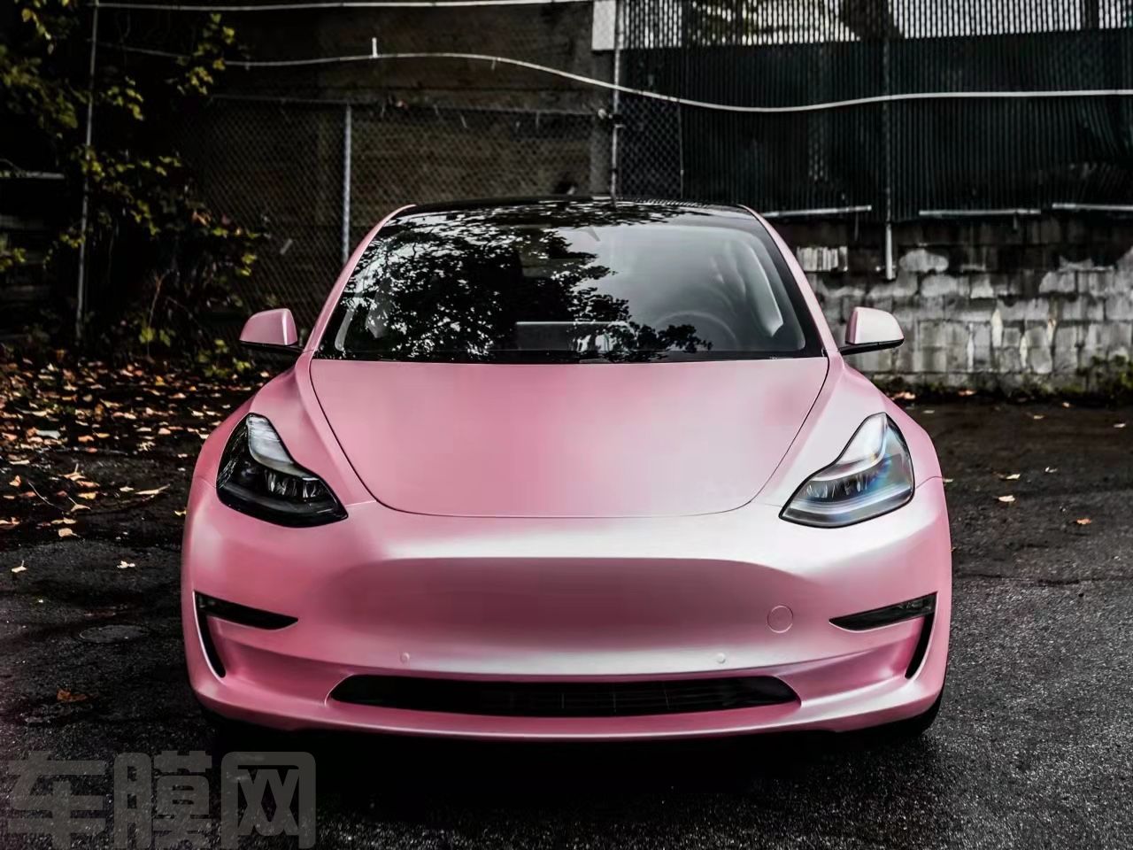 特斯拉Model 3 电光金属樱花粉改色膜 效果图