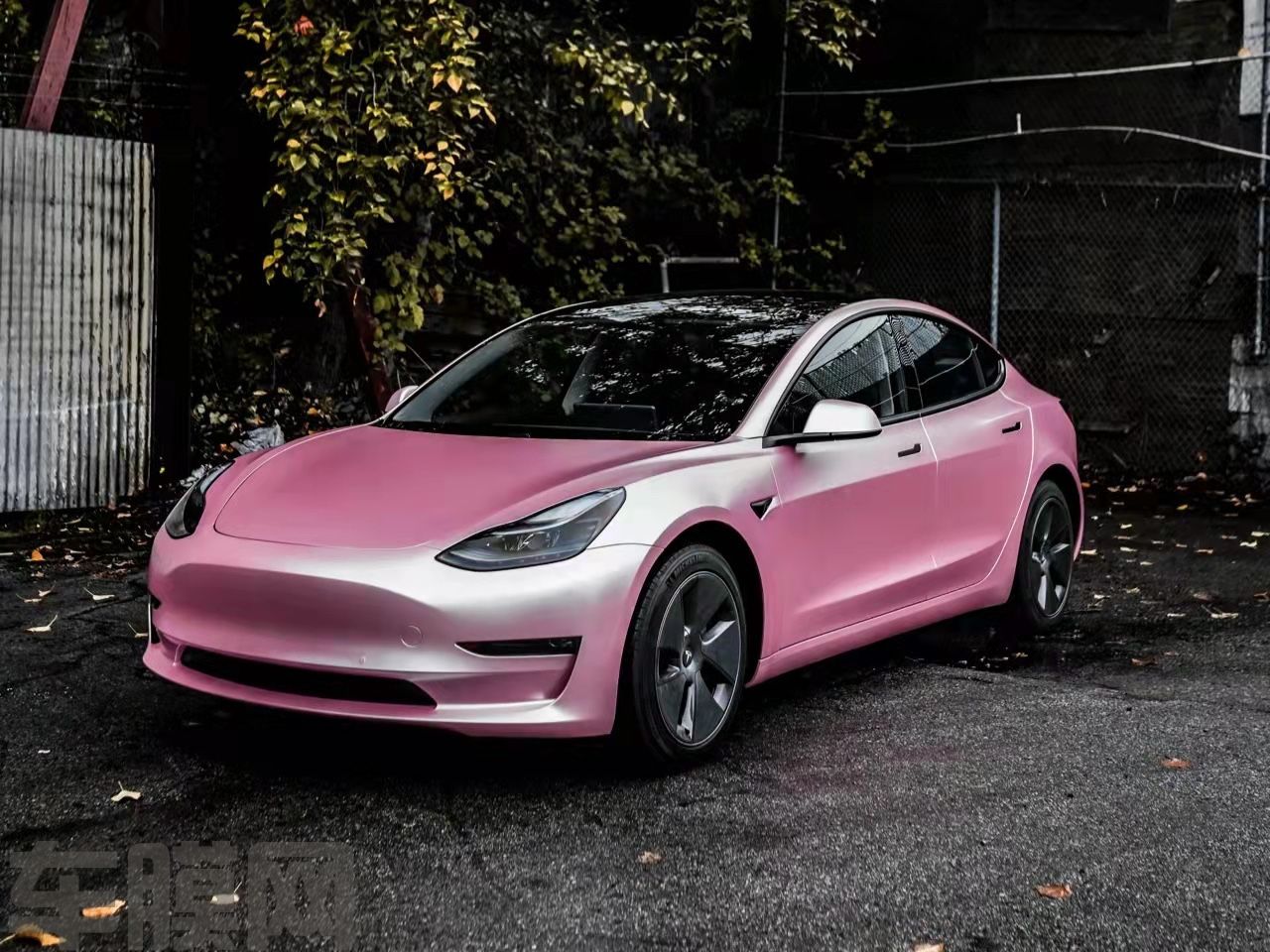 特斯拉Model 3 电光金属樱花粉改色膜 效果图