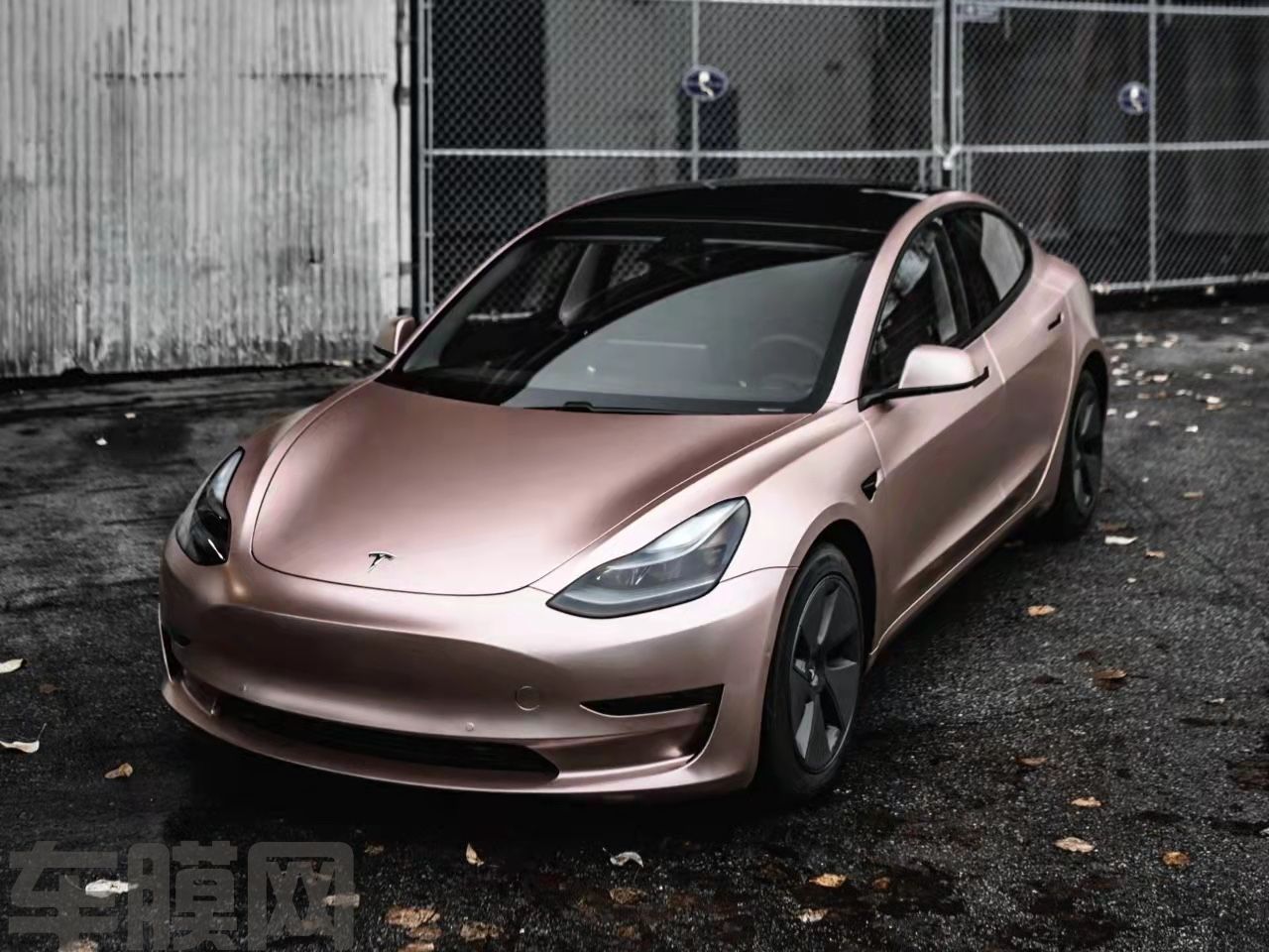 特斯拉Model 3 电光金属玫瑰金改色膜 效果图