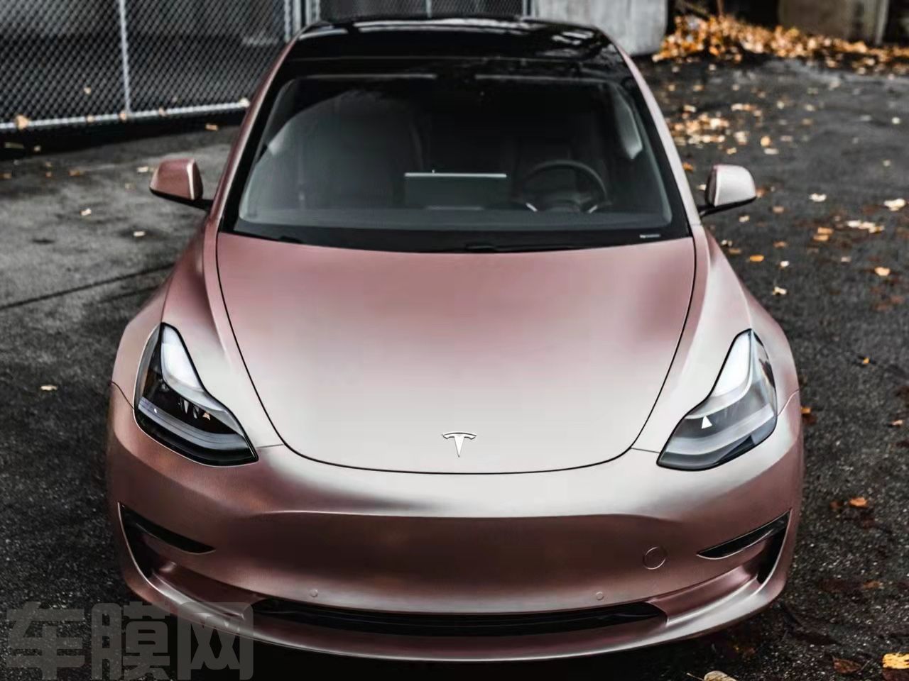 特斯拉Model 3 电光金属玫瑰金改色膜 效果图