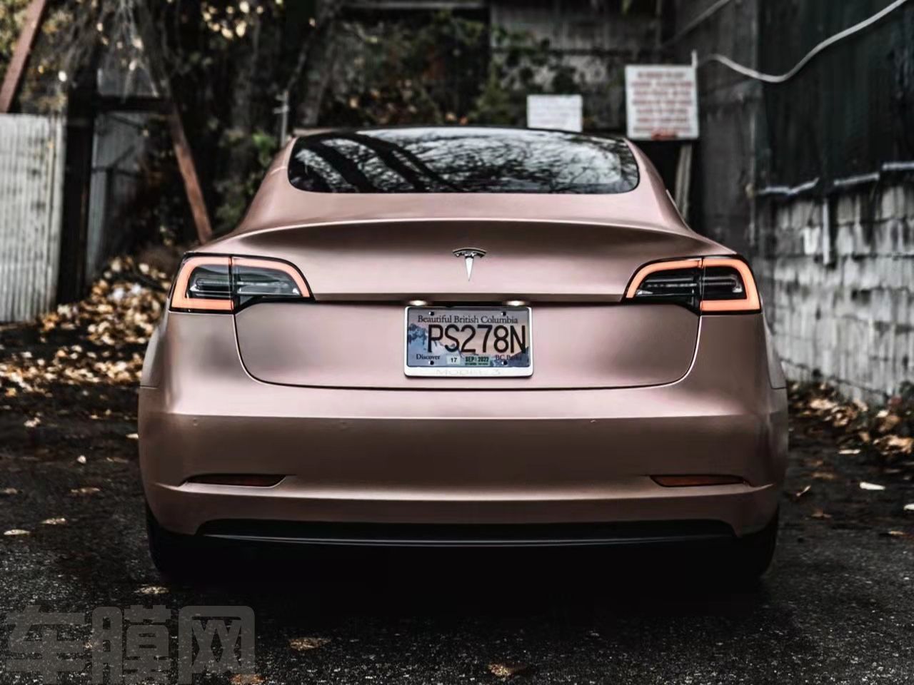 特斯拉Model 3 电光金属玫瑰金改色膜 效果图