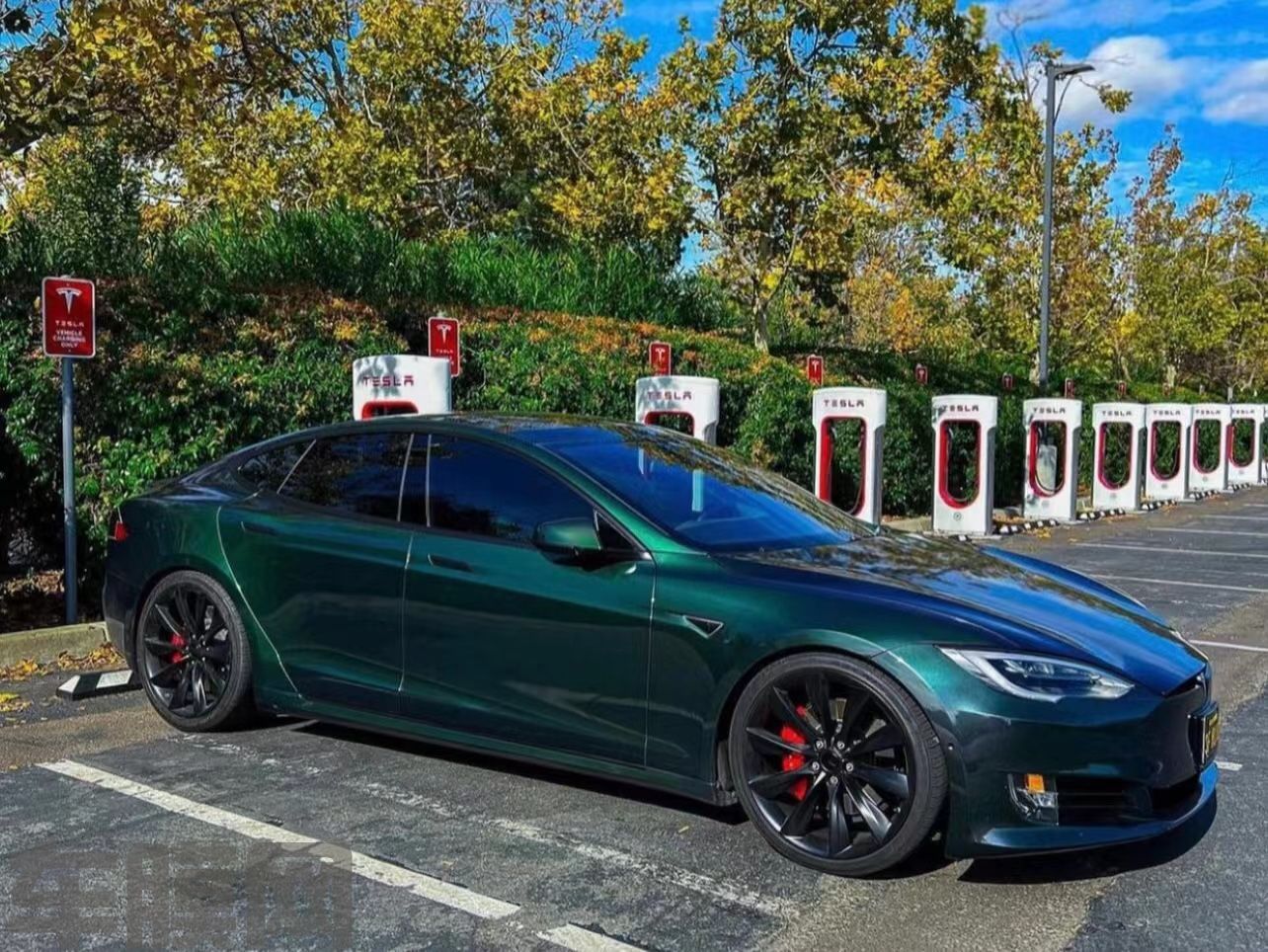 特斯拉Model S PET 祖母绿改色膜 效果图