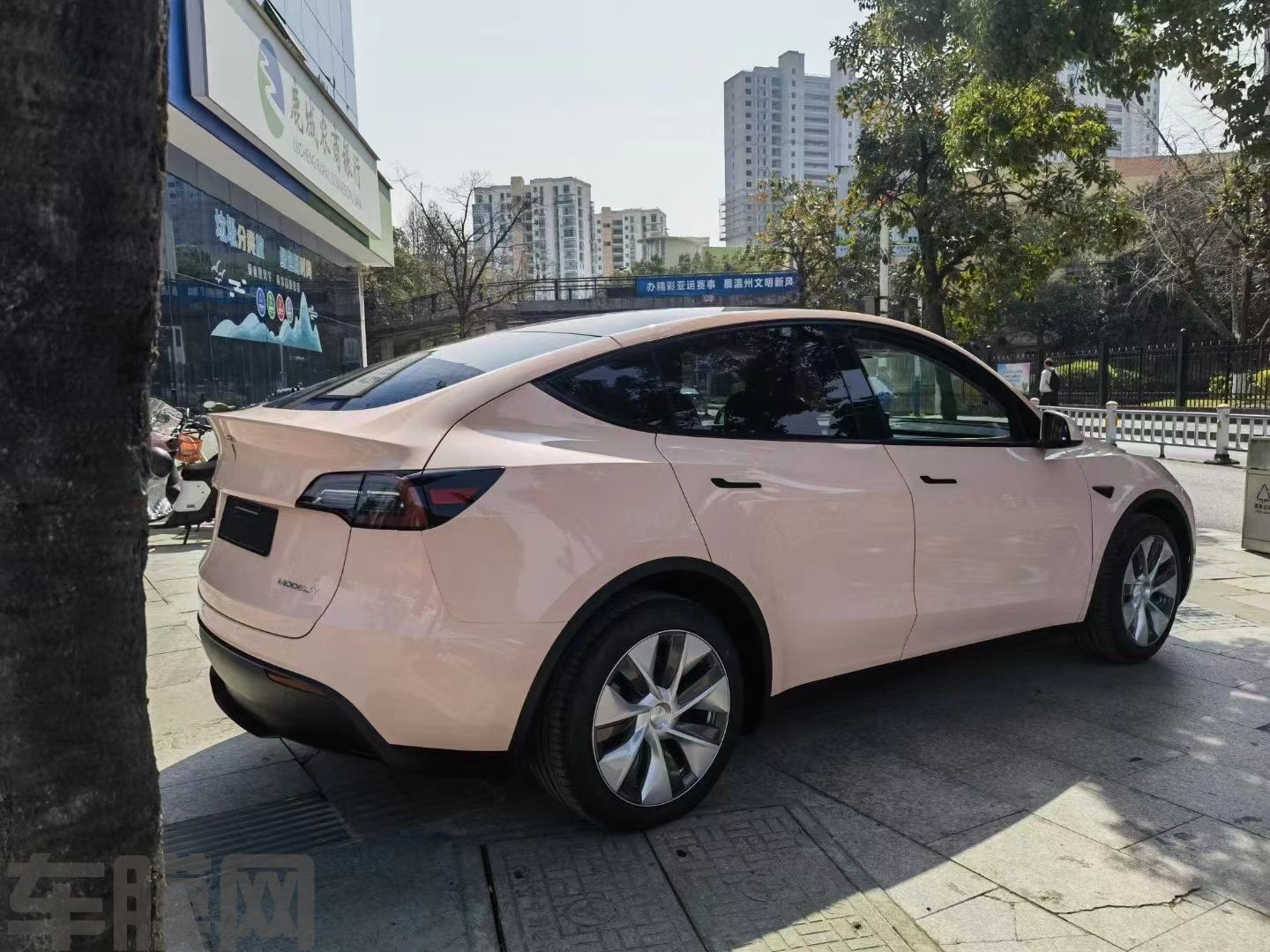 特斯拉Model Y 贝壳粉改色膜 效果图