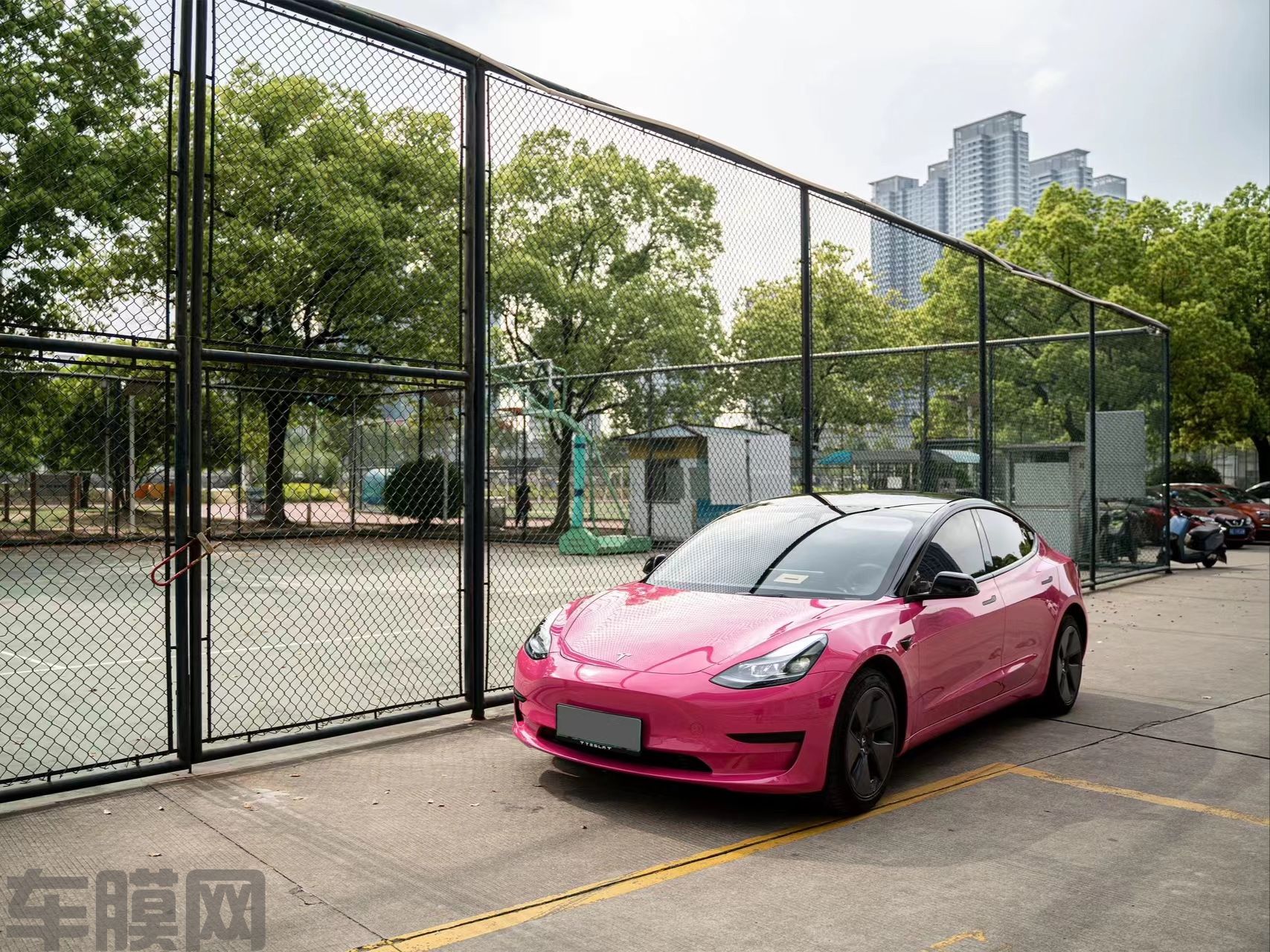 特斯拉Model 3 甜菜根紫改色膜 效果图