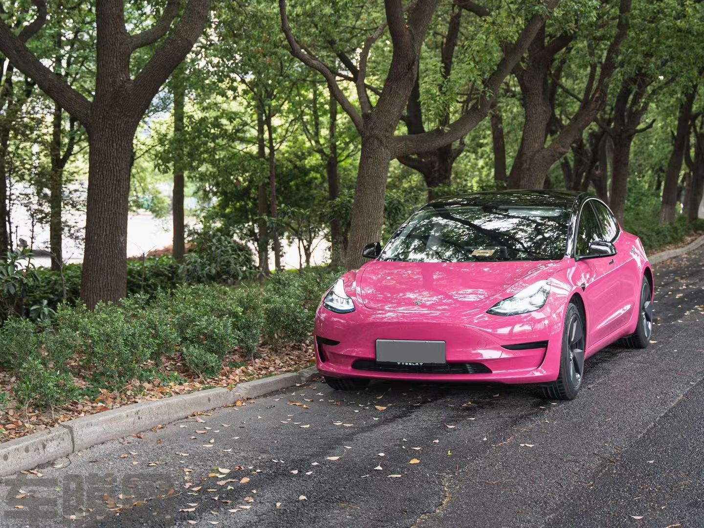 特斯拉Model 3 甜菜根紫改色膜 效果图
