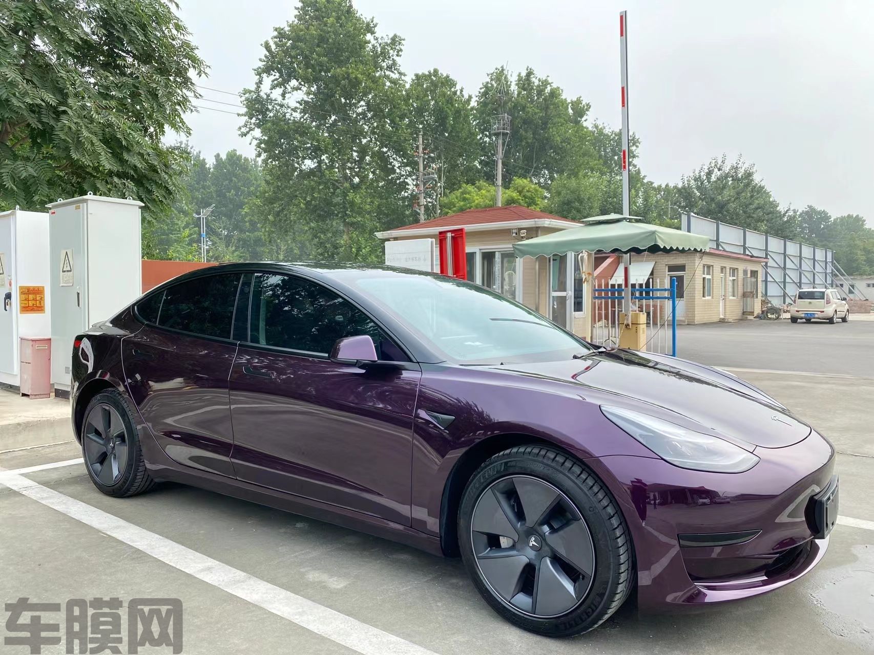 特斯拉Model 3 重金属黑魅紫改色膜 效果图